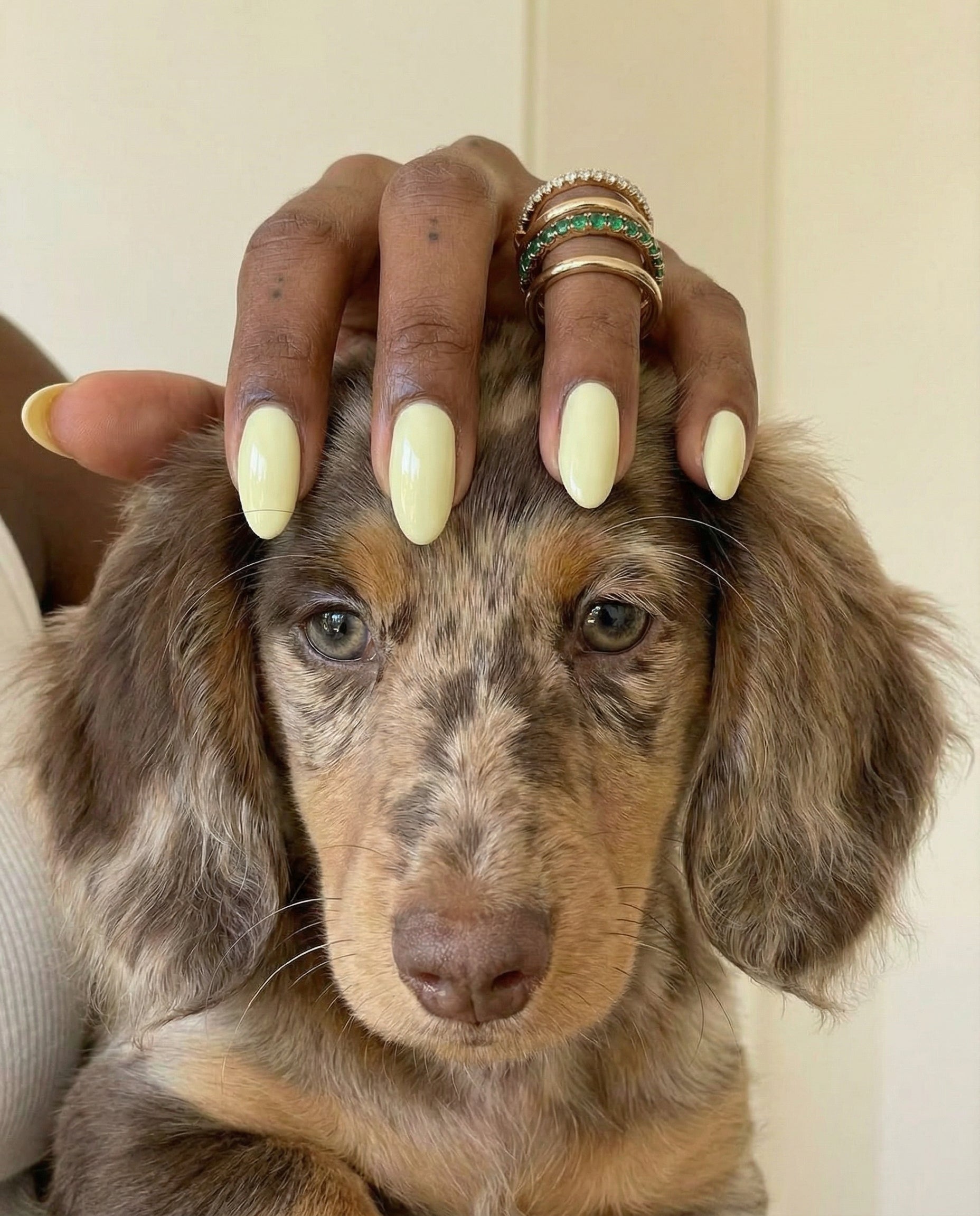 Long islands nella ring