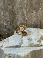 Anina ring
