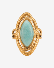 Terni ring