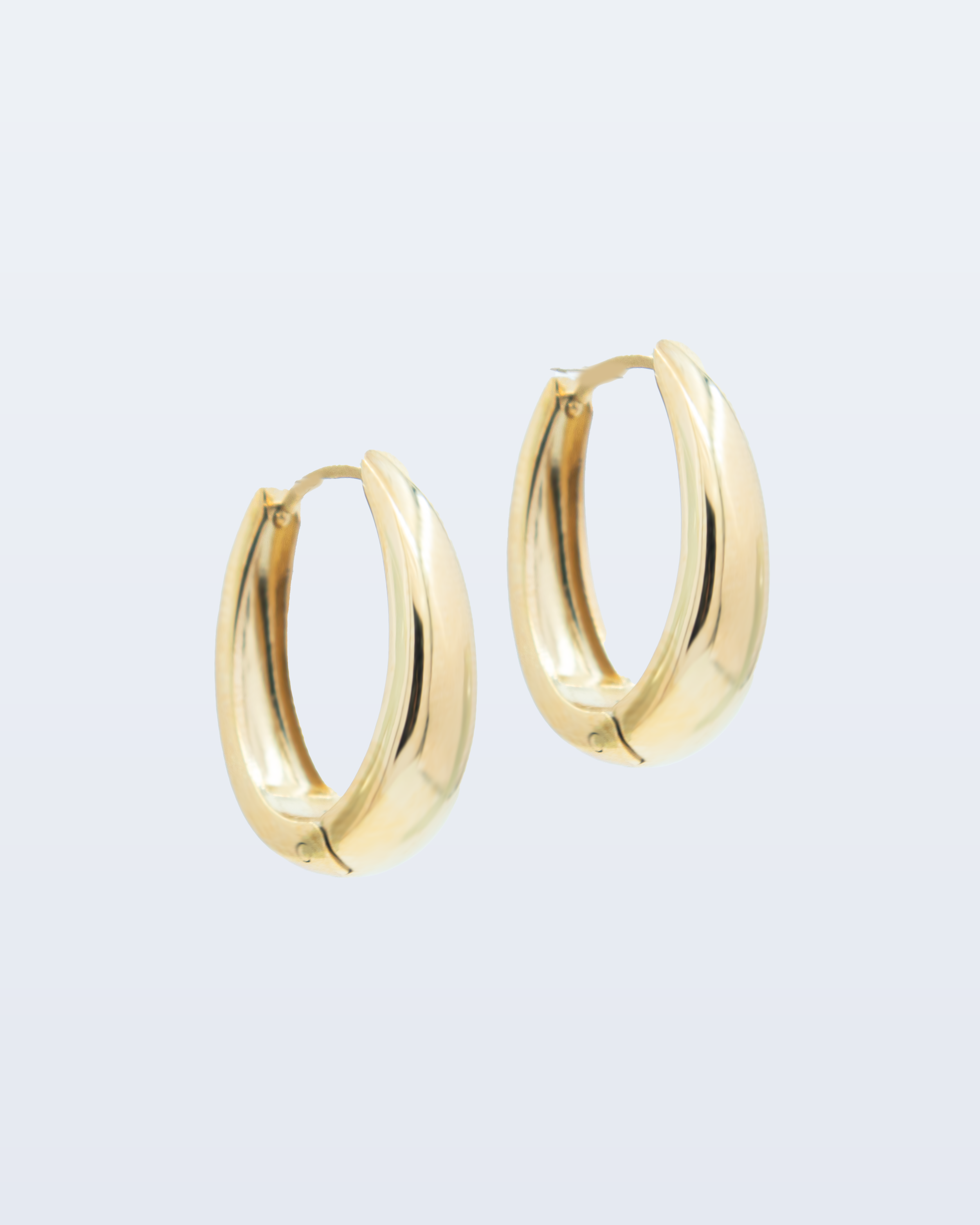 Zianne earrings