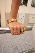 Gini ring