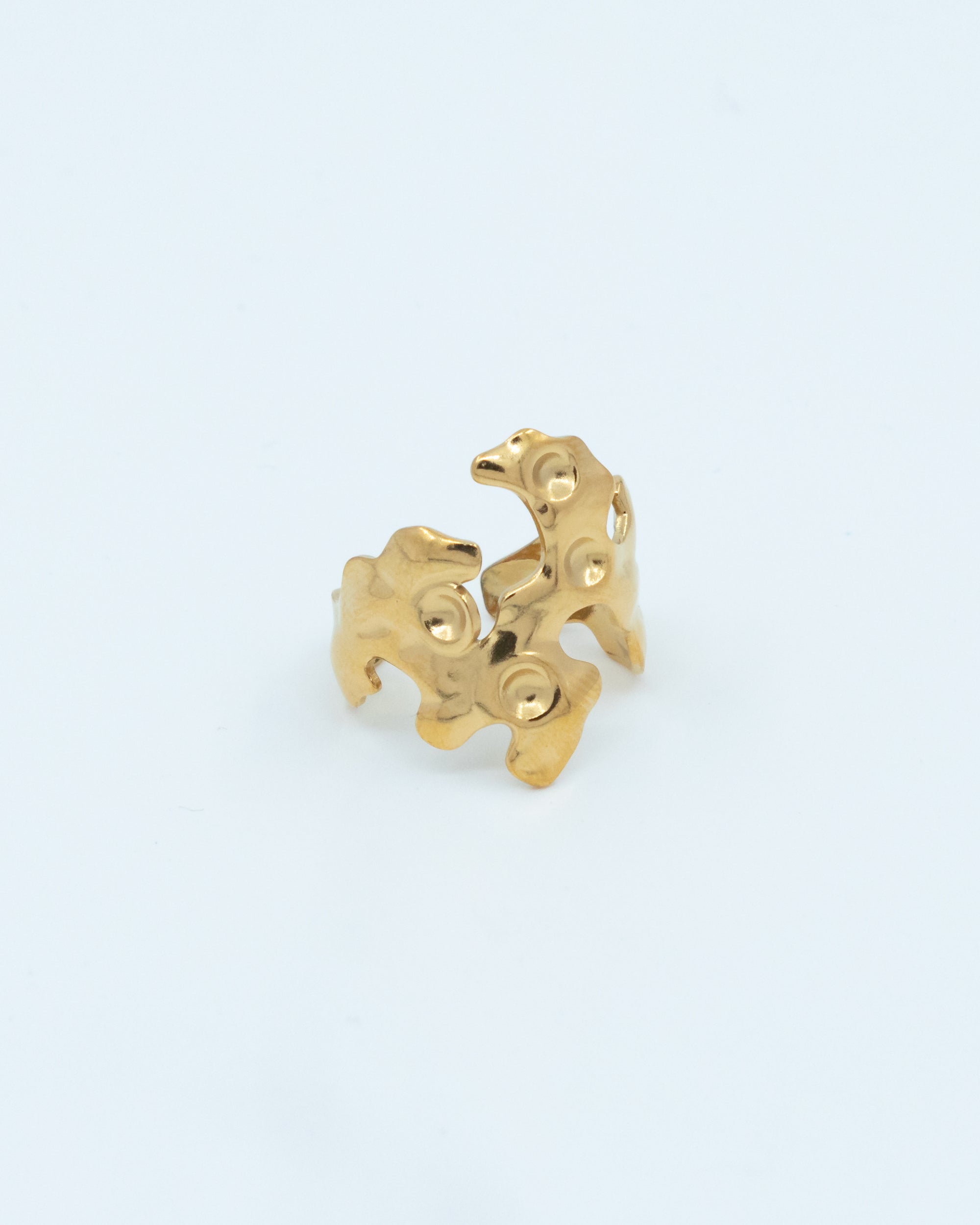 Sample ring