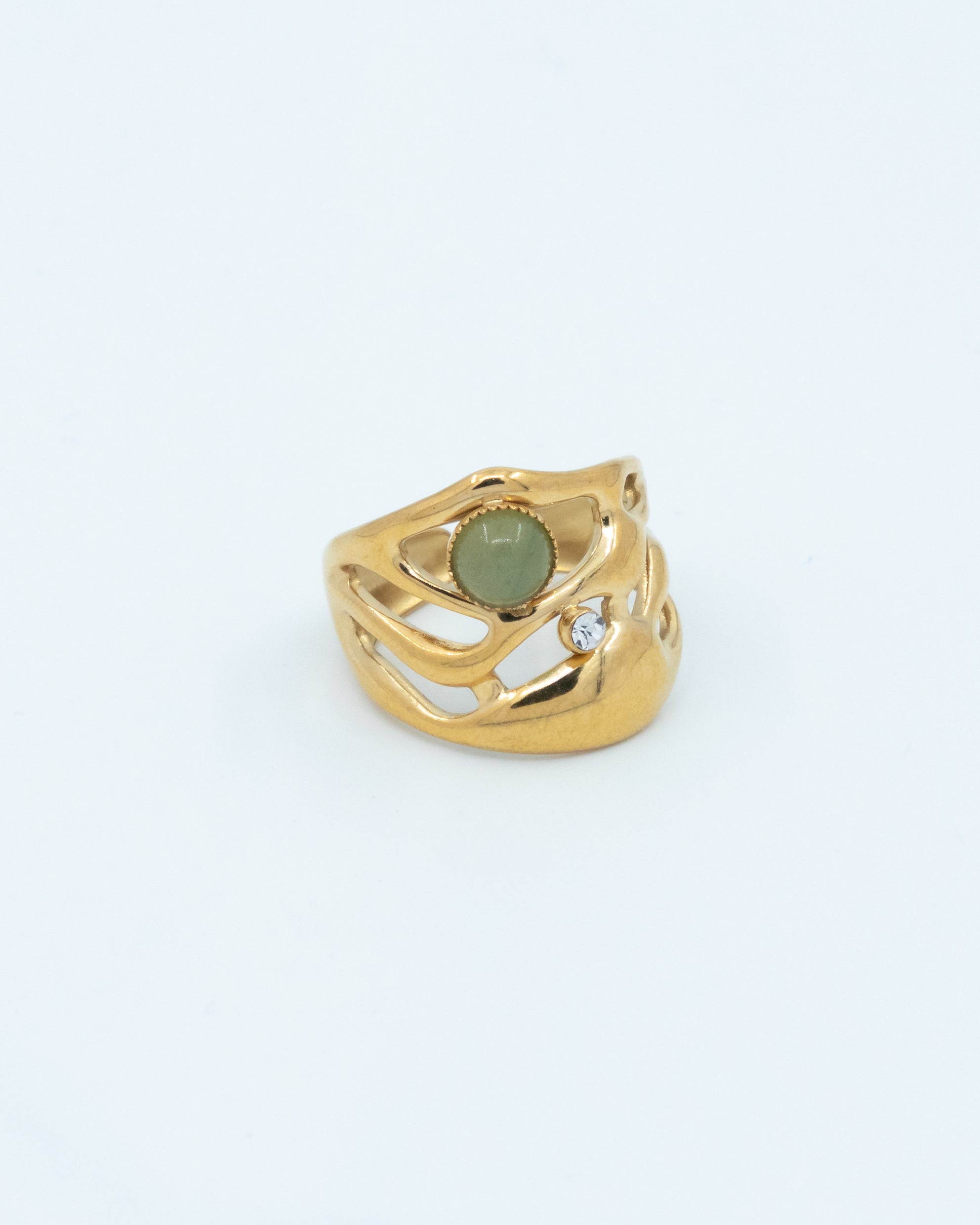 Sample ring