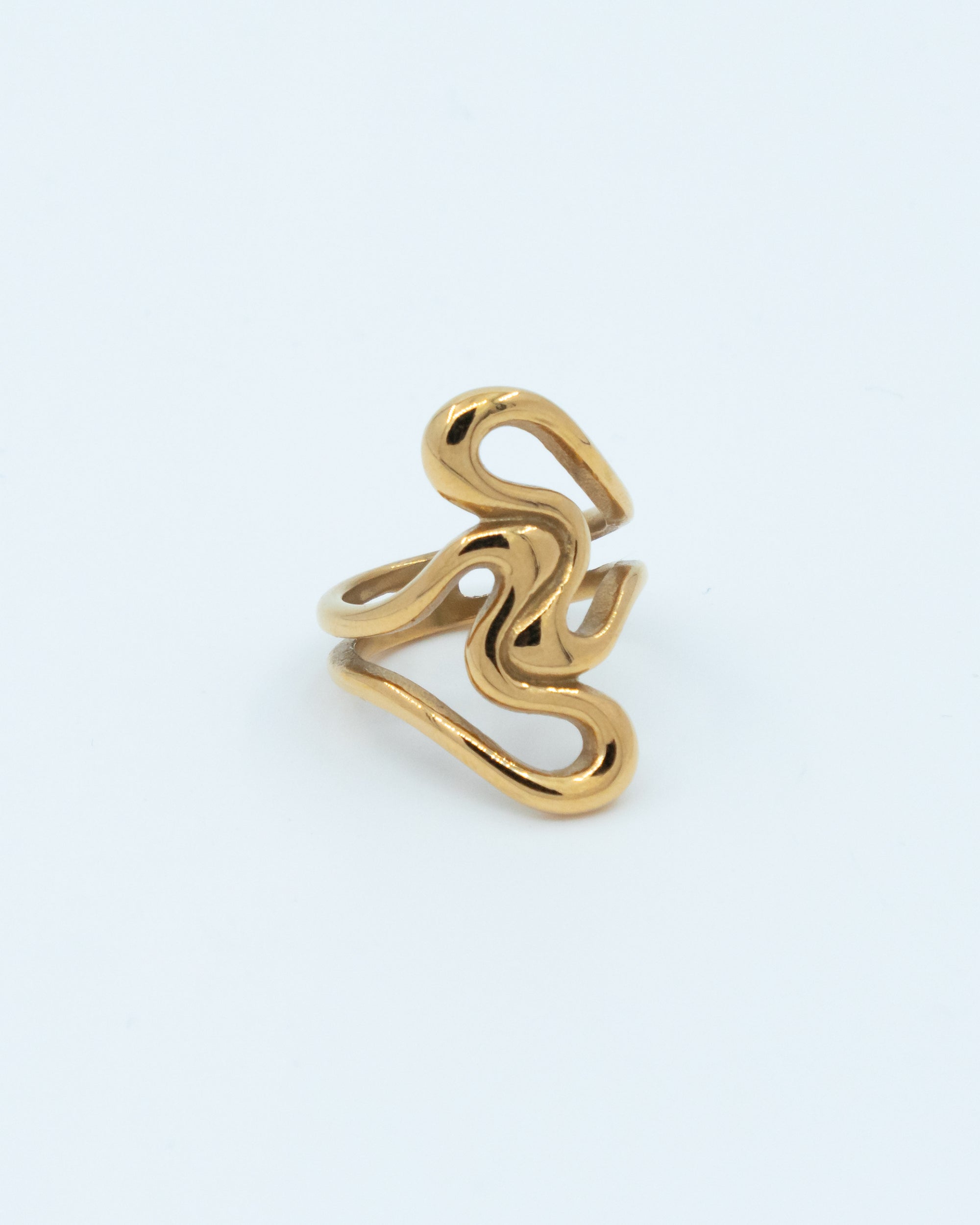 Sample ring