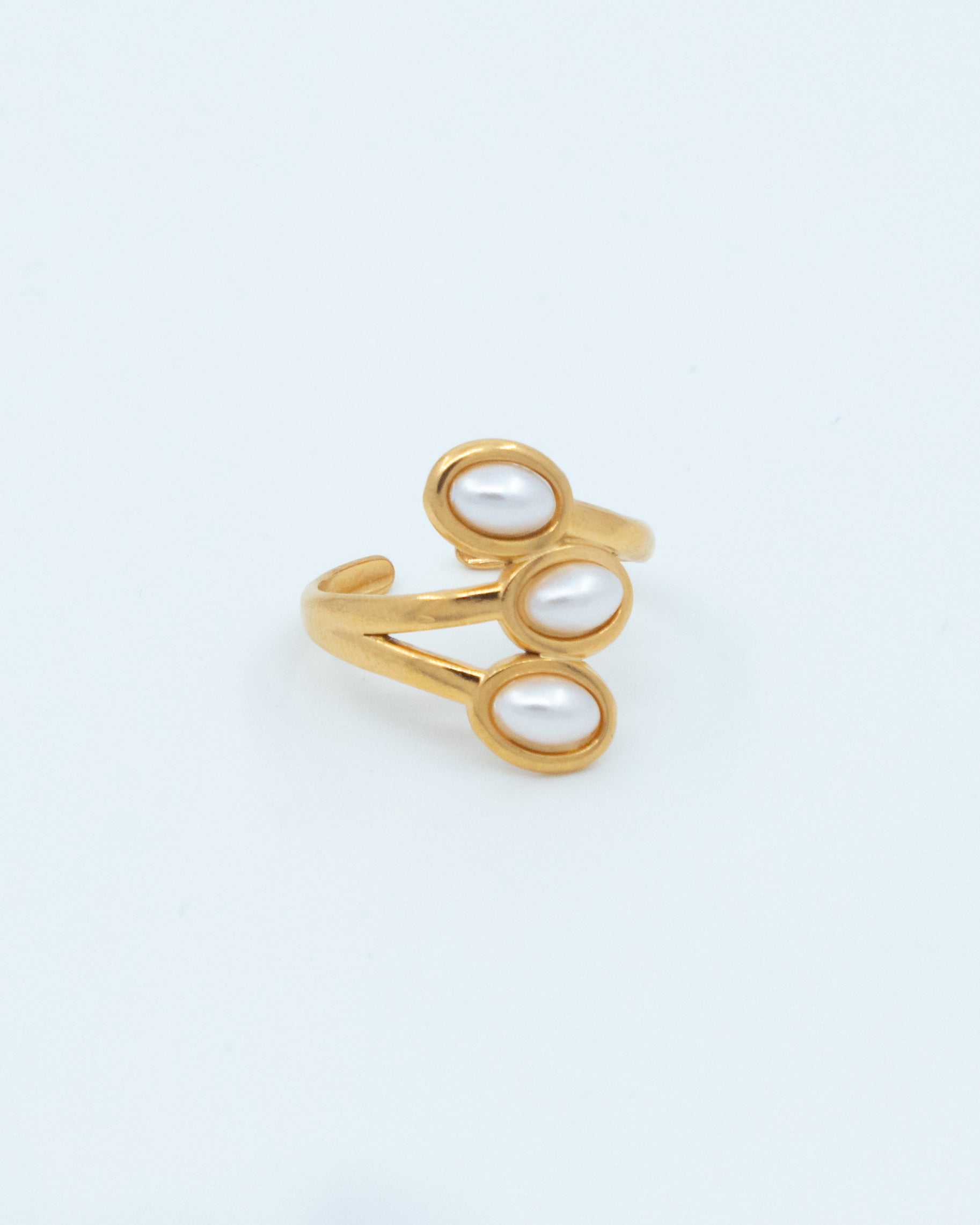 Sample ring