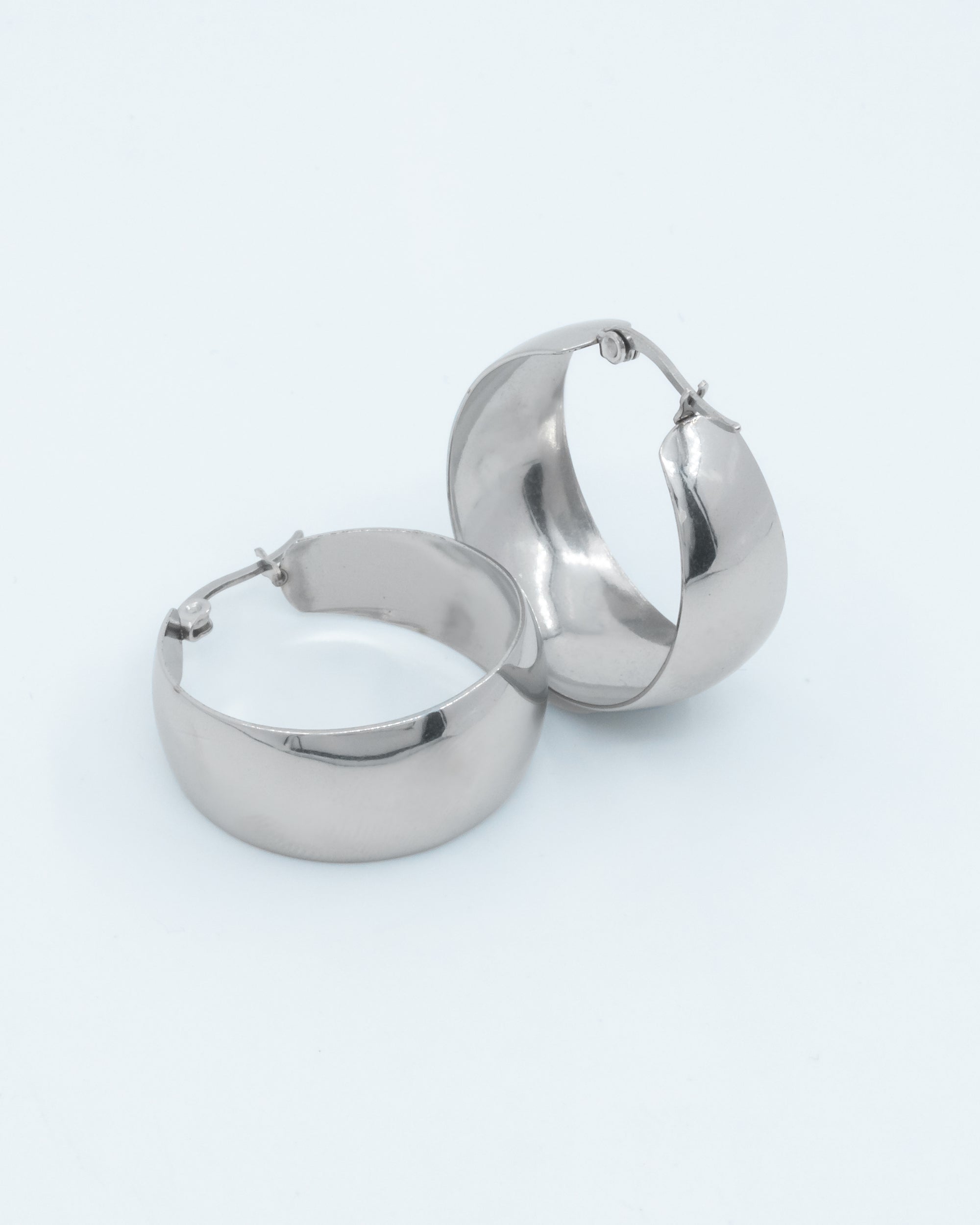 Poza earrings