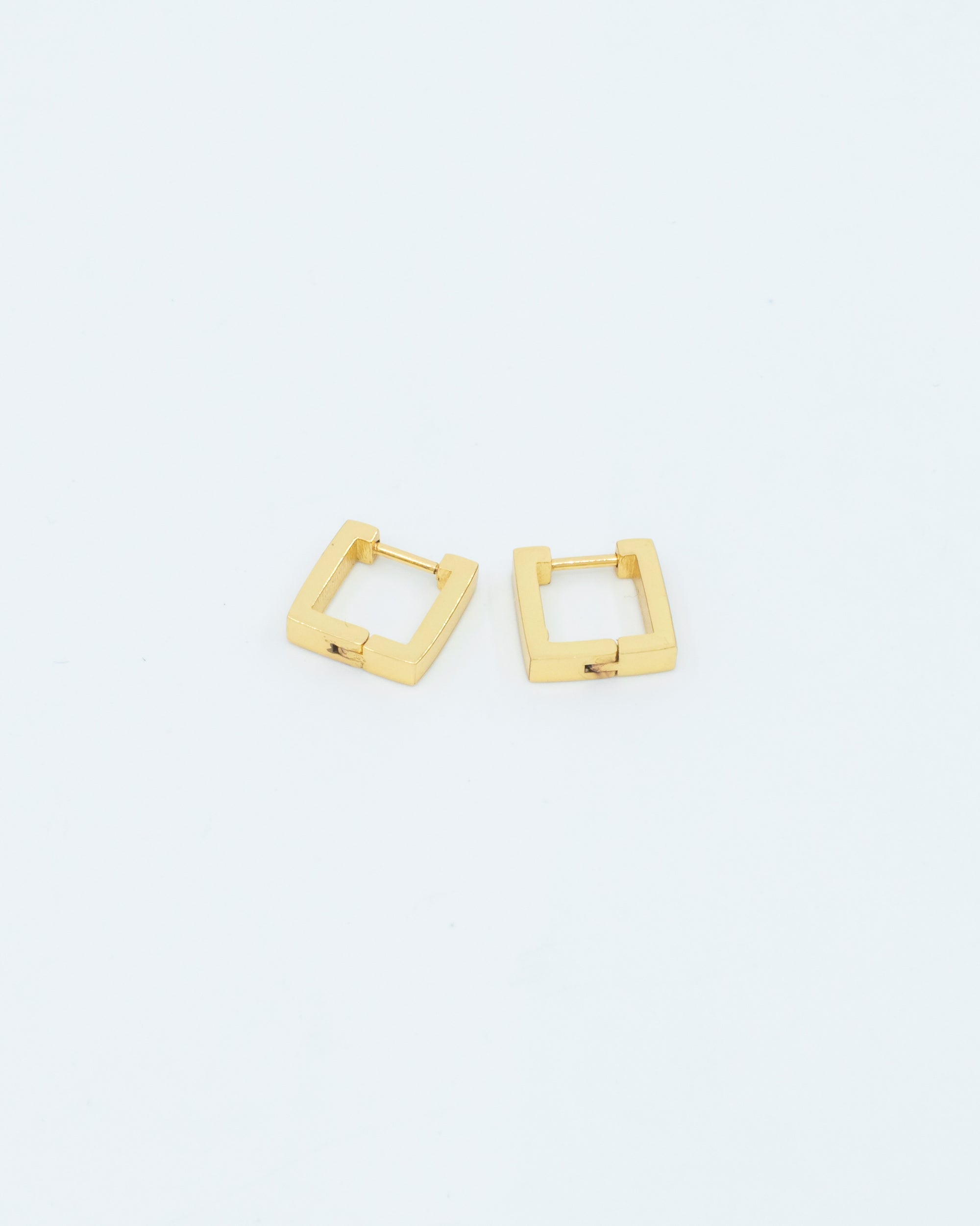 Échantillons de boucles d'oreilles