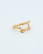 Bague frey