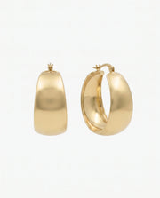 Poza earrings