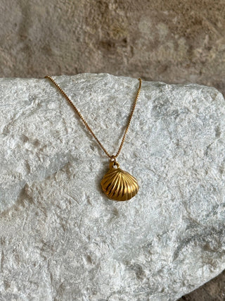 Shelly necklace - Opulaire