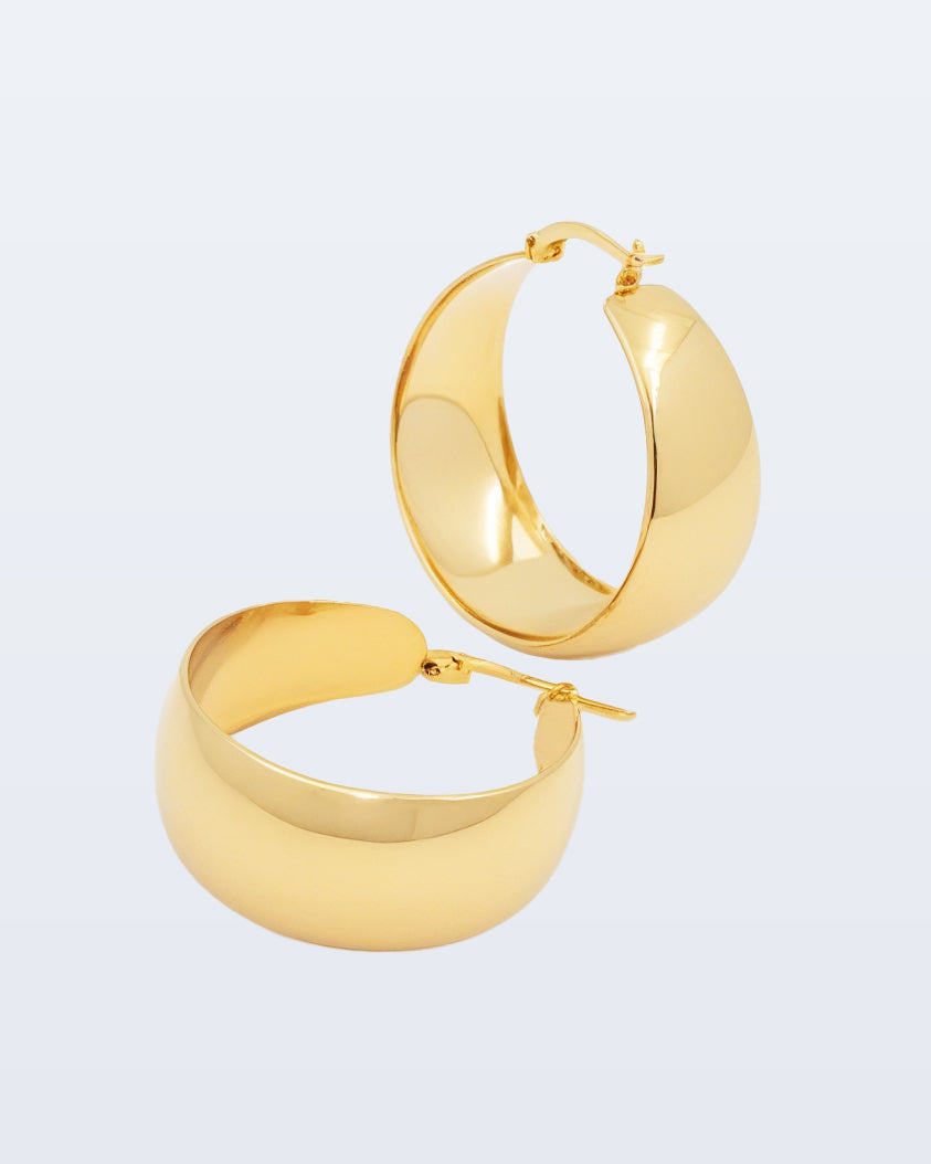 Poza earrings