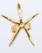 Meolo ring