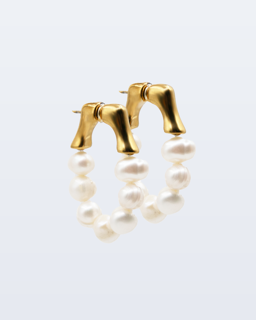 Dijon earrings