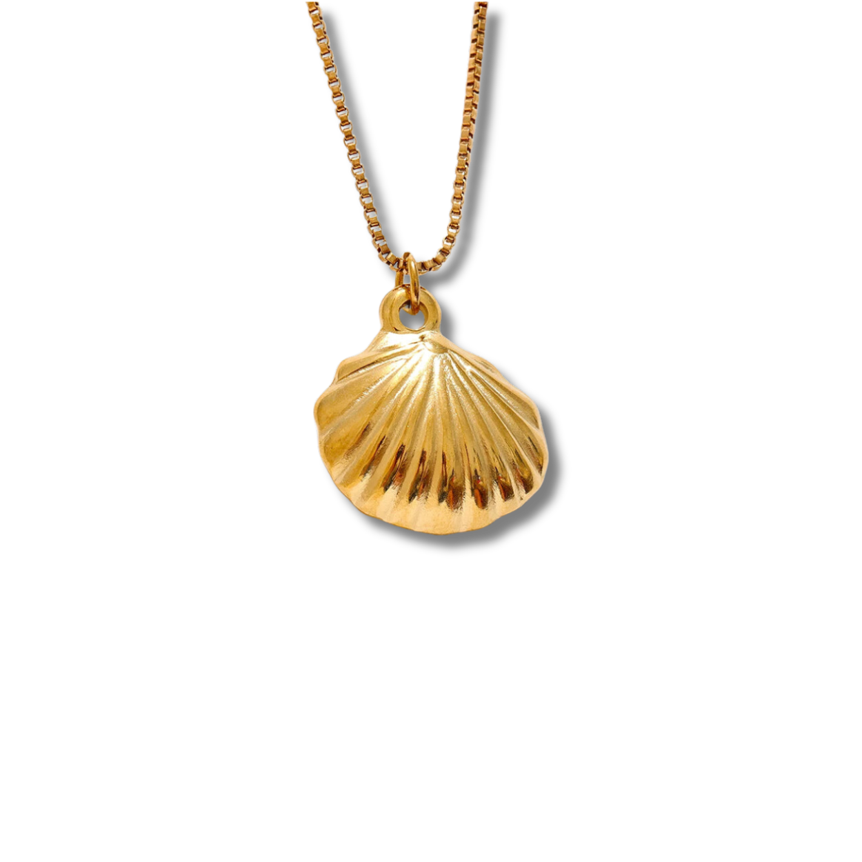 Shelly necklace - Opulaire