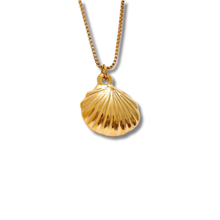 Shelly necklace - Opulaire