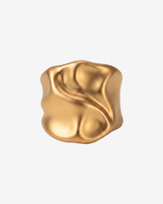 Foggia ring