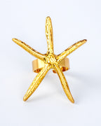 Meolo ring