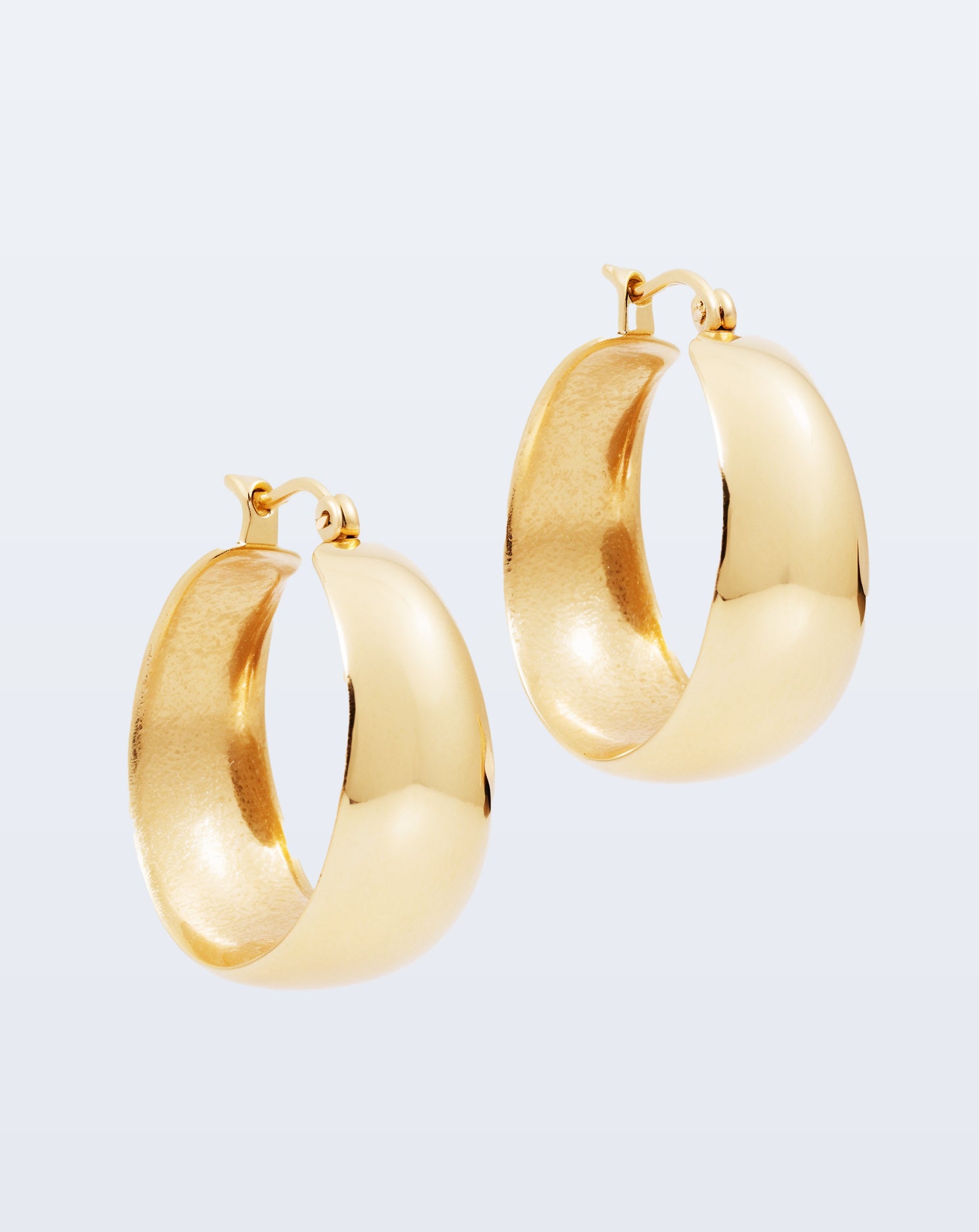 Poza earrings